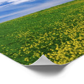 Gebied Canola of Mustard bloemen, Palouse Poster (Hoek)