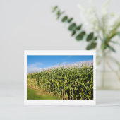 gebied en lucht briefkaart (Staand voorkant)