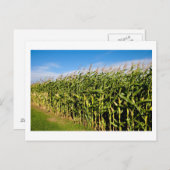 gebied en lucht briefkaart (Voorkant / Achterkant)