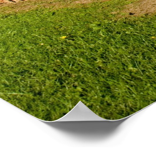 gebied en lucht poster (Hoek)