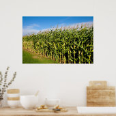 gebied en lucht poster (Keuken)