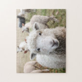 Gebied Gebied Natuur geitenschaap Wilde Levensdier Legpuzzel (Verticaal)