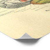 gebied met sensorische sensoren voor de anatomisc poster (Hoek)