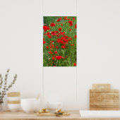 Gebied rode papaver poster (Keuken)