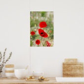 Gebied rode papaver poster (Keuken)