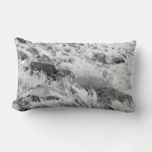 Gebied van basalt kussen