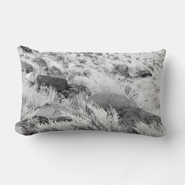 Gebied van basalt kussen (Voorkant)