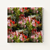 Gebied van Begonia's.... Notitieboek (Achterkant)