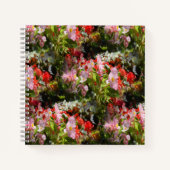 Gebied van Begonia's.... Notitieboek (Voorkant)