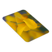 Gebied van bloeiende papaver magneet (Rechterzijde)