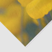 Gebied van bloeiende papaver tissuepapier (Detail)