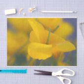 Gebied van bloeiende papaver tissuepapier (Craft)