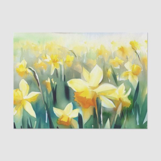 Gebied van Bloemen-Daffodil (A) Waterverf Tissuepapier (Voorkant)