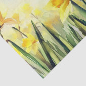 Gebied van Bloemen-Daffodil (C) Waterverf Tissuepapier (Detail)