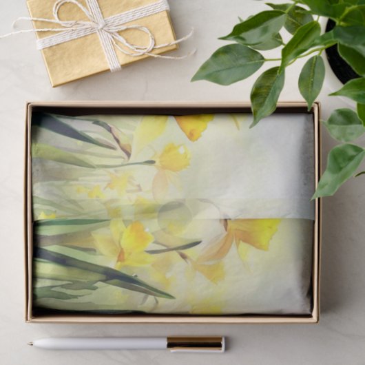 Gebied van Bloemen-Daffodil (C) Waterverf Tissuepapier (Geschenk)