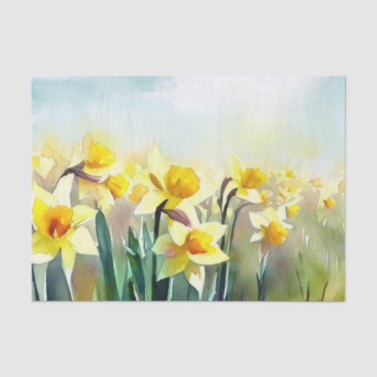 Gebied van Bloemen-Daffodil (D) Waterverf Tissuepapier (Voorkant)