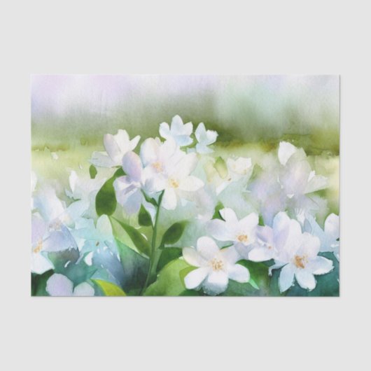 Gebied van Bloemen-Jasmijn (D) Waterverf Tissuepapier (Voorkant)