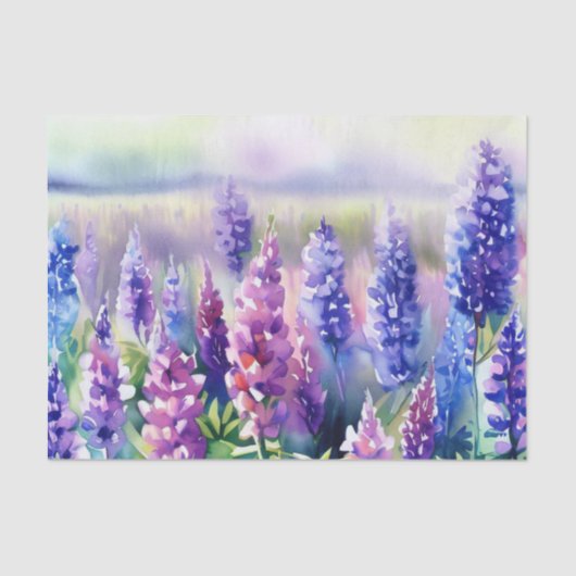 Gebied van Bloemen-Lupine (D) Waterverf Tissuepapier (Voorkant)