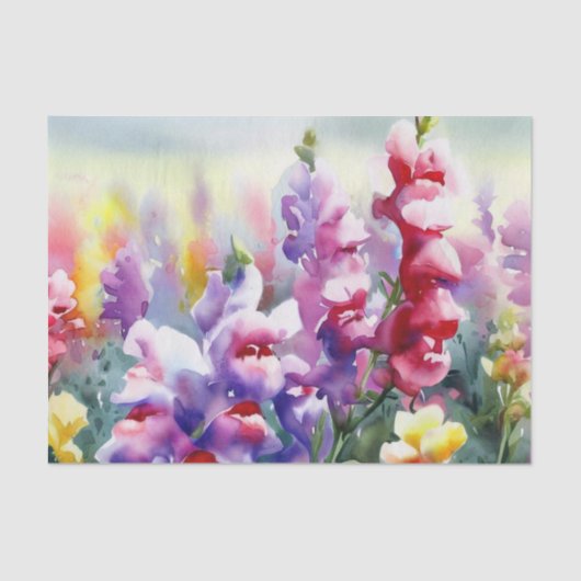 Gebied van Bloemen-Snapdragon (D) Waterverf Tissuepapier (Voorkant)