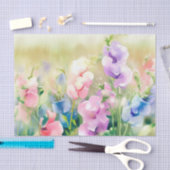 Gebied van bloemenzoete erwt (D) Waterverf Tissuepapier (Craft)