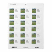 Gebied van Bluebonnets - Adresetiketten Etiket (Full Sheet)