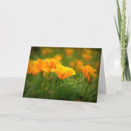 Gebied van Californië Poppies Sinaasappel Poppy Bl Kaart