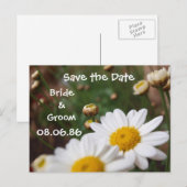 Gebied van Daisies Save the Date Aankondigingskaart (Voorkant / Achterkant)