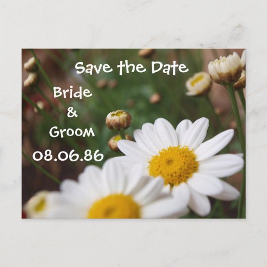 Gebied van Daisies Save the Date Aankondigingskaart (Voorkant)