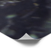 Gebied van de Cuttlefish Poster (Hoek)