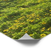 Gebied van de Dandelions op een Helderdag Poster (Hoek)
