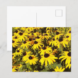 Gebied van de gele wilde bloemen briefkaart