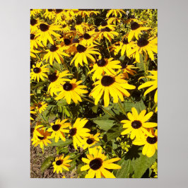 Gebied van de gele wilde bloemen poster