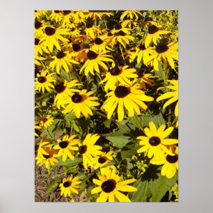 Gebied van de gele wilde bloemen poster