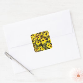 Gebied van de gele wilde bloemen vierkante sticker