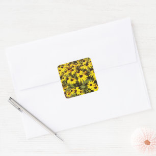 Gebied van de gele wilde bloemen vierkante sticker