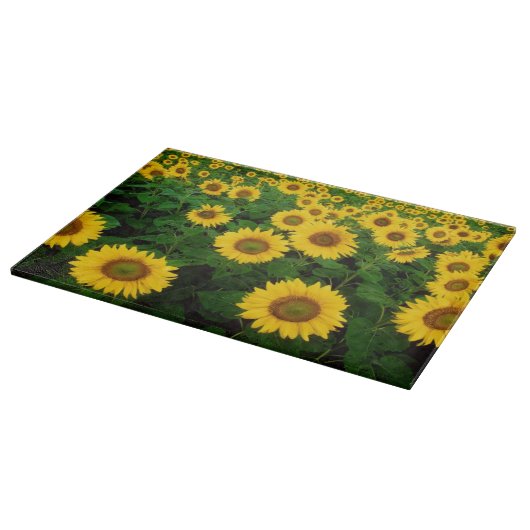 Gebied van de Gele Zonnebloem Snijplank (Hoek)