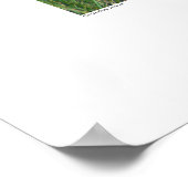 Gebied van de Grote Blauwe Reiger Poster (Hoek)