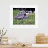 Gebied van de Grote Blauwe Reiger Poster (Keuken)