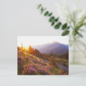 Gebied van de lupine- en Olympisch gebergte op Briefkaart (Staand voorkant)