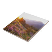 Gebied van de lupine- en Olympisch gebergte op Tegeltje (Zijkant)