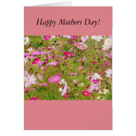 Gebied van de roze bloemen