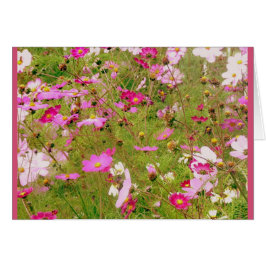 Gebied van de roze bloemen