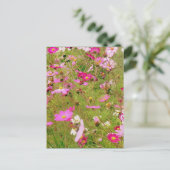 Gebied van de roze bloemen briefkaart (Staand voorkant)