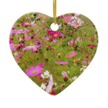 Gebied van de roze bloemen