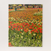 Gebied van de tulpenpuzzel legpuzzel (Verticaal)