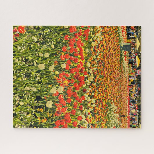 Gebied van de tulpenpuzzel legpuzzel (Horizontaal)