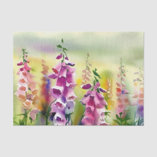 Gebied van Flowers-Foxglove (D) Waterverf Tissuepapier (Voorkant)