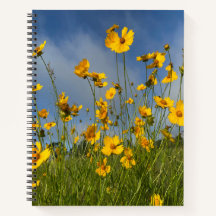 Gebied van Gele Bloemen