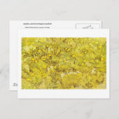 Gebied van Gele Bloemen, Vincent van Gogh Briefkaart (Voorkant / Achterkant)
