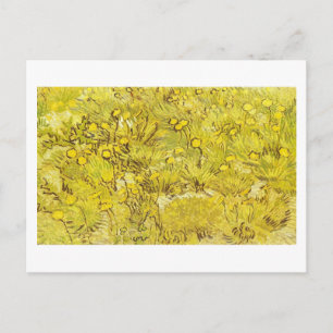 Gebied van Gele Bloemen, Vincent van Gogh Briefkaart